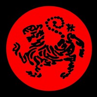 Shotokan Karatedo HoanKiem