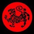 Shotokan Karatedo HoanKiem